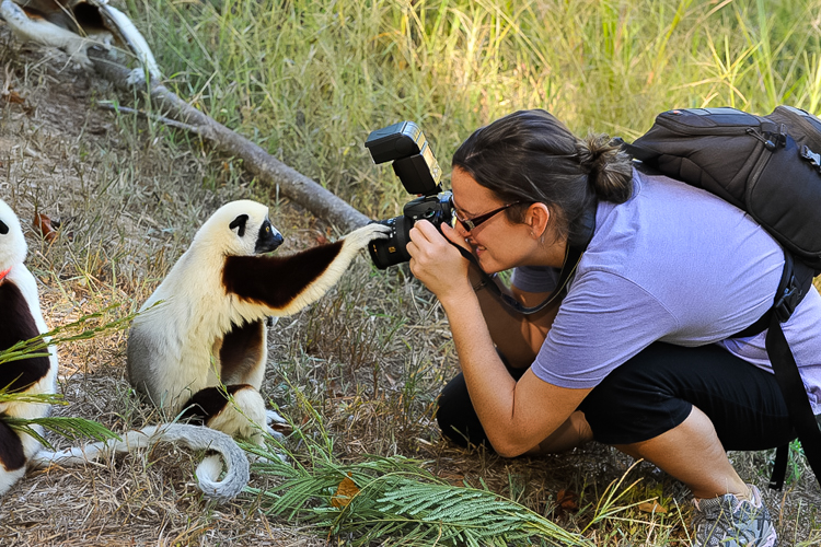 In het Lemur center kun je van heel dichtbij halfapen fotograferen.