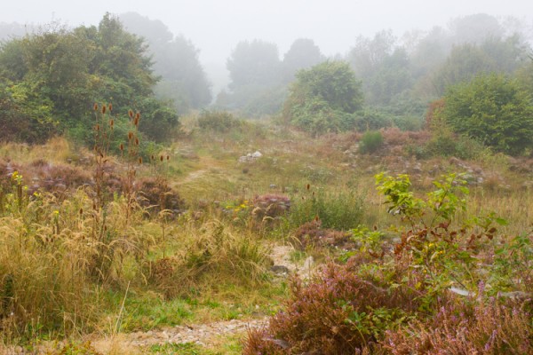 landje landschap 8 van 13