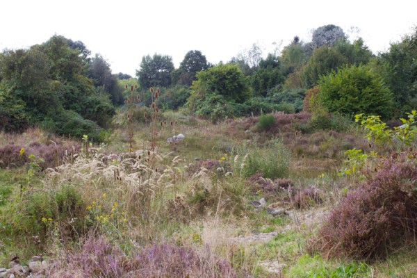 wildernistrek 14